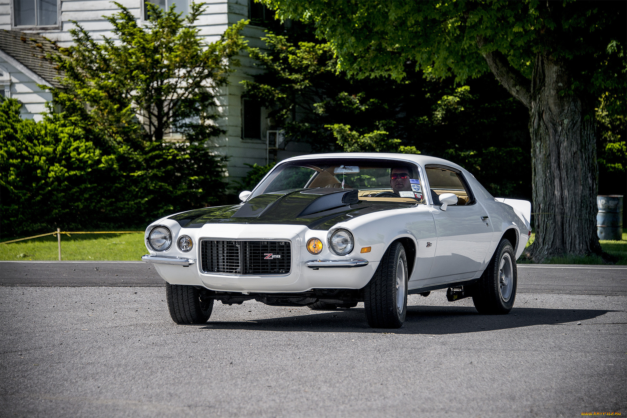chevrolet camaro z28, , camaro, , , 